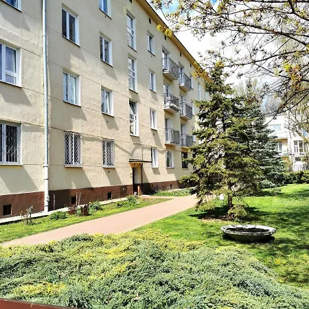 Apartment Art-studio In Saska